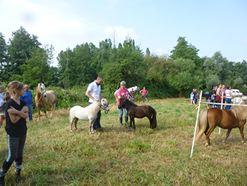 Cheval Loisir Nievre © Grain d'Orge