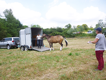 Cheval Loisir Nievre © Grain d'Orge