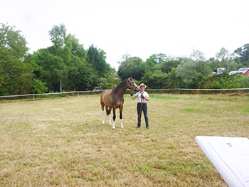 Cheval Loisir Nievre © Grain d'Orge