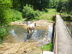 Cheval Loisir Nievre © Grain d'Orge