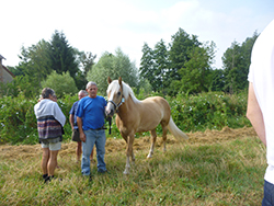 Cheval Loisir Nievre © Grain d'Orge