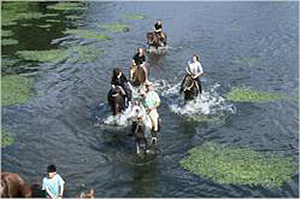Le tour du Morvan
