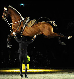 Equita'Lyon